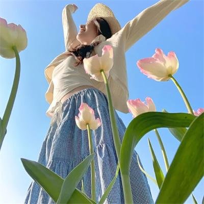布公仔之金银岛